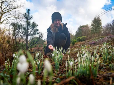 Ghiocei - Foto: Profimedia Images (rol ilustrativ)