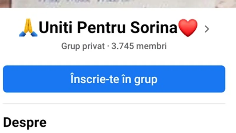 Unul dintre grupurile în care sunt promovate aceleași teorii ale conspirației în cazul Sorinei.