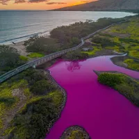 Culoarea unui lac a devenit magenta. Iată din ce motiv și-a schimbat culoarea - Foto: TRAVISKEAHI_PHOTOS / INSTAGRAM / imagine cu caracter ilustrativ