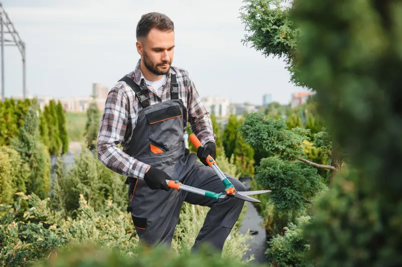 Lucrări de tăiere a grădinii pentru a menține aspectul arbuștilor, tufișurilor, copacilor - Foto: Freepik (Imagine cu rol ilustrativ)