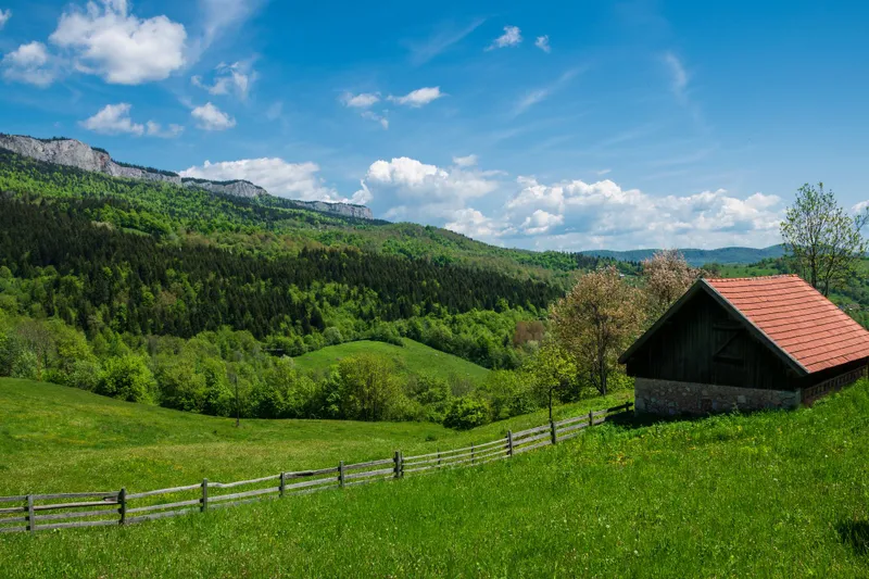 Teren Foto: Pexels (imagine cu rol ilustrativ)