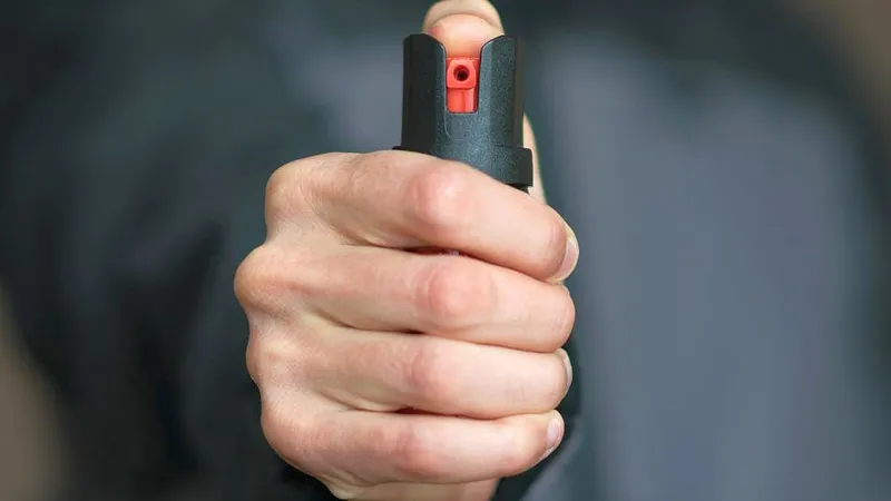 Un copil a fost atacat cu spray lacrimogen după ce a călcat pe iarbă. Ce a pățit paznicul? - Foto: Profimedia / imagine cu caracter ilustrativ