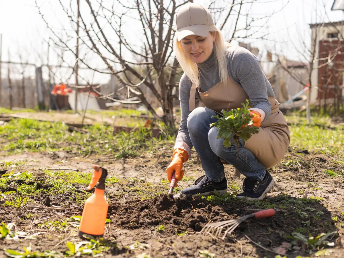 Femeie care plantează în grădină - Foto: Freepik (Imagine cu rol ilustrativ)