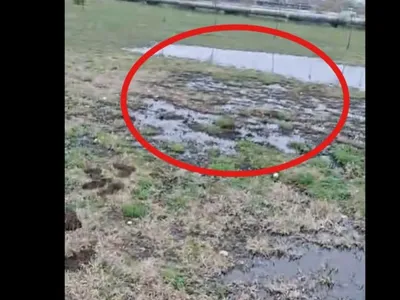 O țeavă cu petrol s-a spart și a inudat un parc din Ploiești. Autoritățile au intrat în alertă Foto: captură videoo Facebook/ Primaria Ploiesti