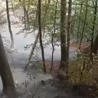 VIDEO Pădurea de la Băile Olănești arde din nou. Incendiul e aproape de o mănăstire - Foto: captură video youtube