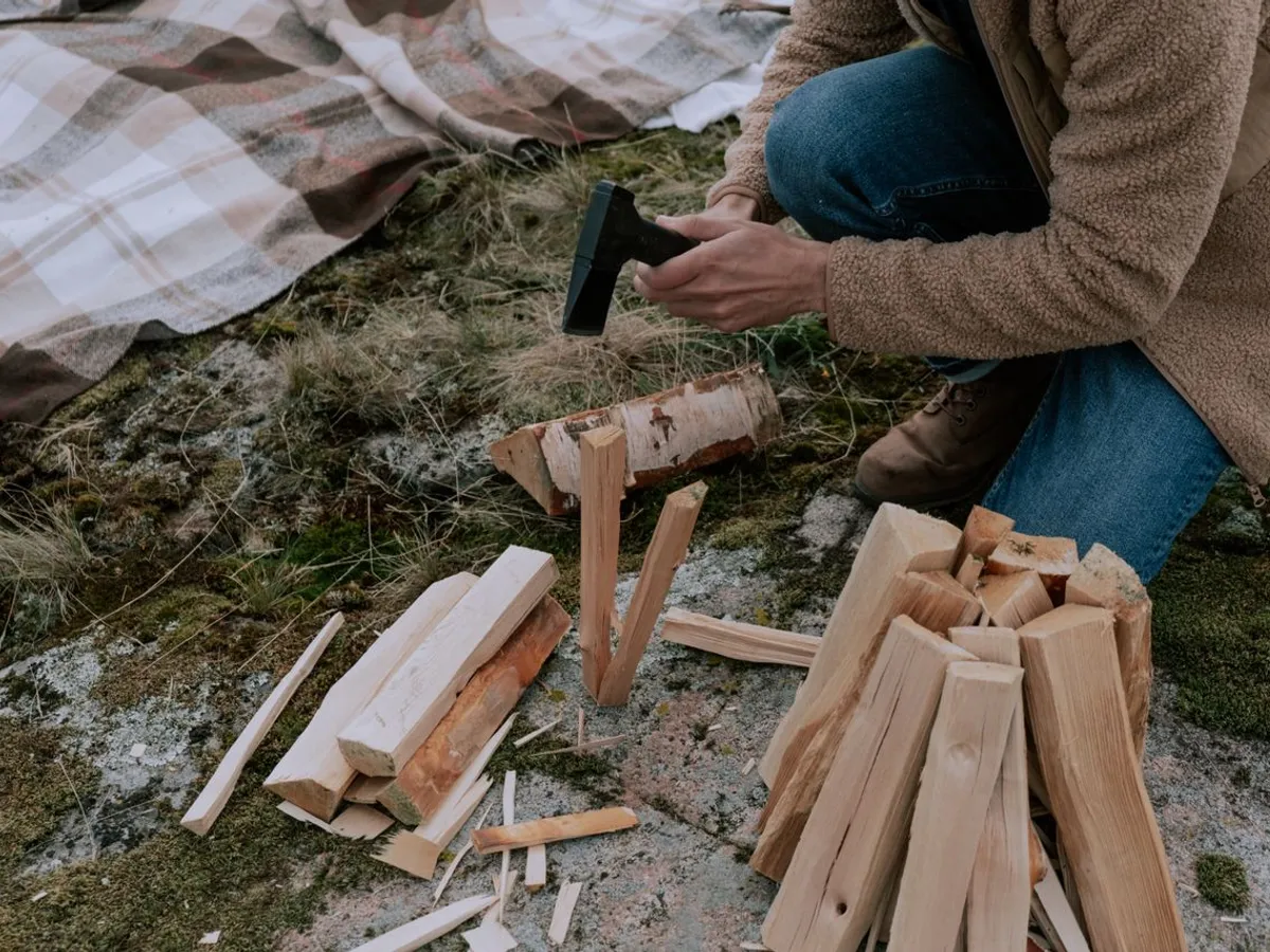 Care sunt cele mai bune lemne pentru foc? Nu produc funingine și au un timp de ardere mai mare
