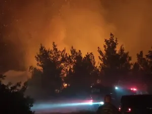 Incendiu puternic în Thassos: autoritățile sunt în alertă. Ce spune un român stabilit pe insulă despre situația de acolo