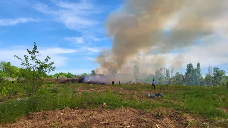 Incendiu de vegetație în Parcul Grozăvești - Foto: ISUBIF