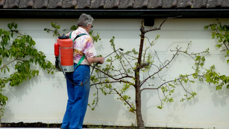 Ultimele zile pentru curățarea pomilor din curte! Ce riști dacă nu le tai crengile la timp? - Foto: Profimedia Images (imagine cu rol ilustrativ)