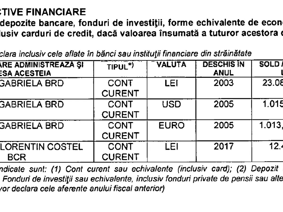 Banii din conturi deținuți de Gabriela Firea