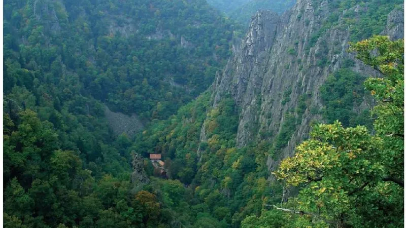 O creatură înfricoșătoare bântuie prin Munții Harz din Germania. Pare coborâtă din mituri  - Foto: dreamtime.com (imagine cu caracter ilustrativ)