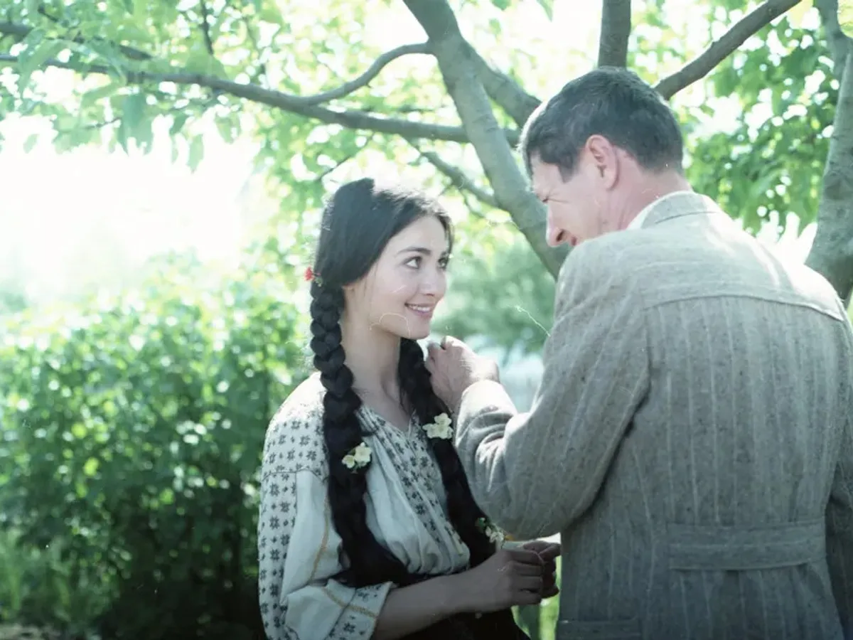 Anca Szonyi Stefan Iordache