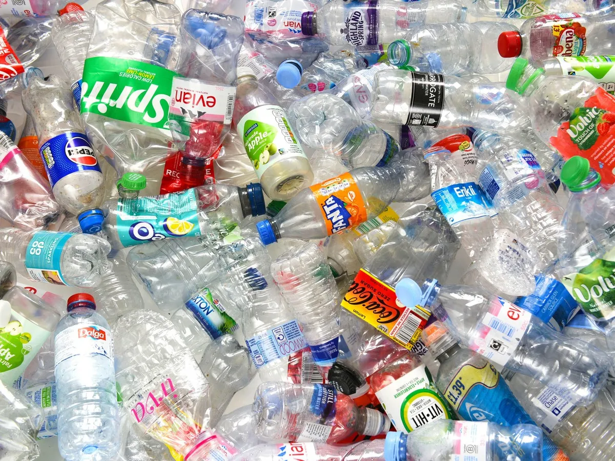 Nanoplasticele absorbite de plante prezintă riscuri potenţiale pentru sănătate. Ajung în farfuriile noastre