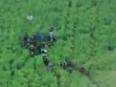 VIDEO Imagini cu momentul capturării suspectului în crima din Bihor: Bărbatul era ascuns într-un lan de rapiță