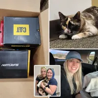 Un cuplu și-a expediat, din greșeală, pisica, într-un colet cu haine. După 7 zile au avut un șoc! - Foto: NY Post