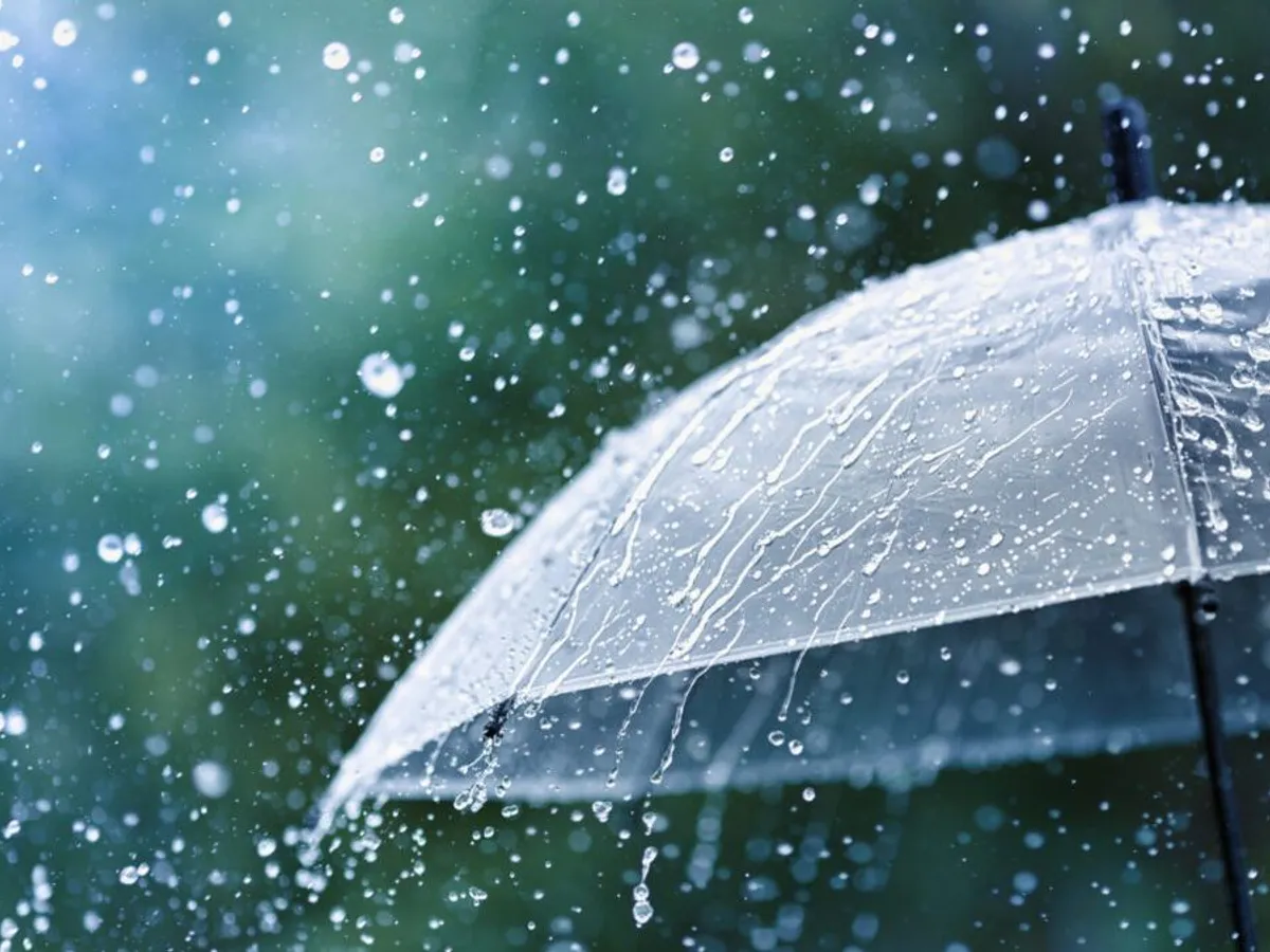 METEO Cum va fi vremea în acest weekend? Județele care vor fi lovite de ploi și vreme rea - Foto: Profimedia Images (imagine cu rol ilustrativ)
