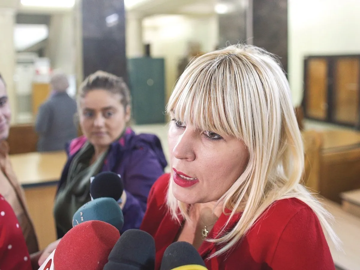 ARESTAȚI VIP. Arestarea Elenei Udrea l-a sensibilizat pe Ciorbea