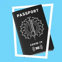Codul QR pentru „pașaportul verde” austriac poate fi falsificat ușor, avertizează experții/FOTO: liberties.eu