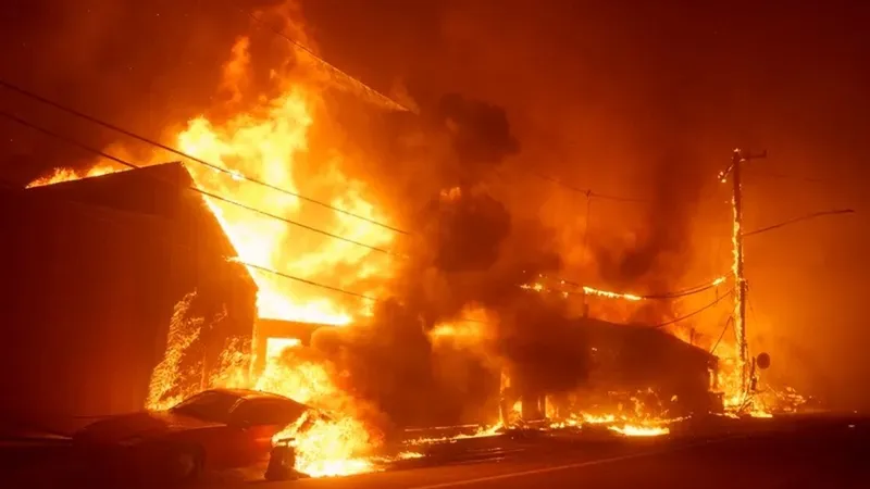 Incendiu devastator în Vâlcea: flăcările mistuie 50 de hectare de teren:FOTO - Profimedia(imagine cu rol ilustrativ)