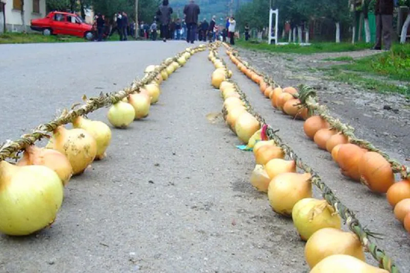 Cununa din cepe