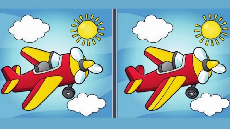 Diferențe de la o imagine la cealaltă foto: fresherslive.com