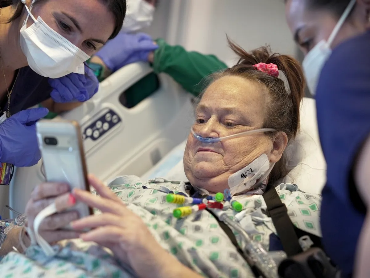Transplant la om, cu rinichi de porc. Este a doua oară la nivel mondial când se întâmplă - Foto: Profimedia Images