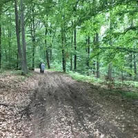 12 ani de procese pentru recuperarea unei păduri. Șicanele Romsilva/FOTO: ziaruldeiasi.ro