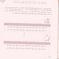 Declaratie de avere Foto: Captură video