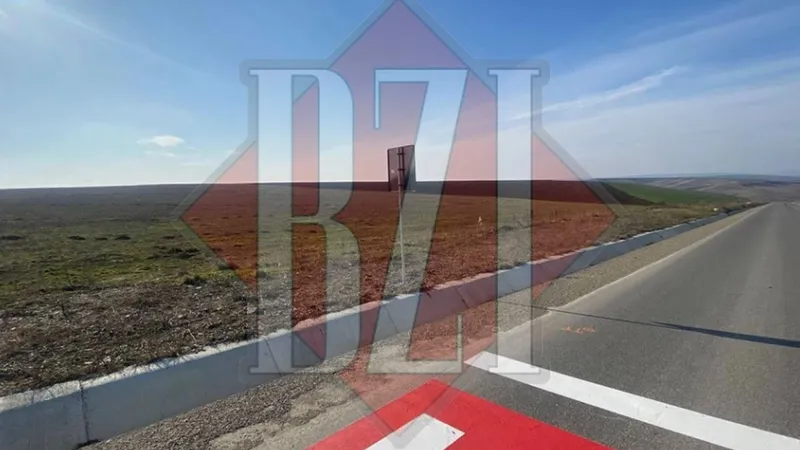 Drumarii din județul Iași au pictat o trecere pietoni în câmp, pe DJ282a, între localitățile Iepureni și Larga Jijia. - Foto: bzi.ro