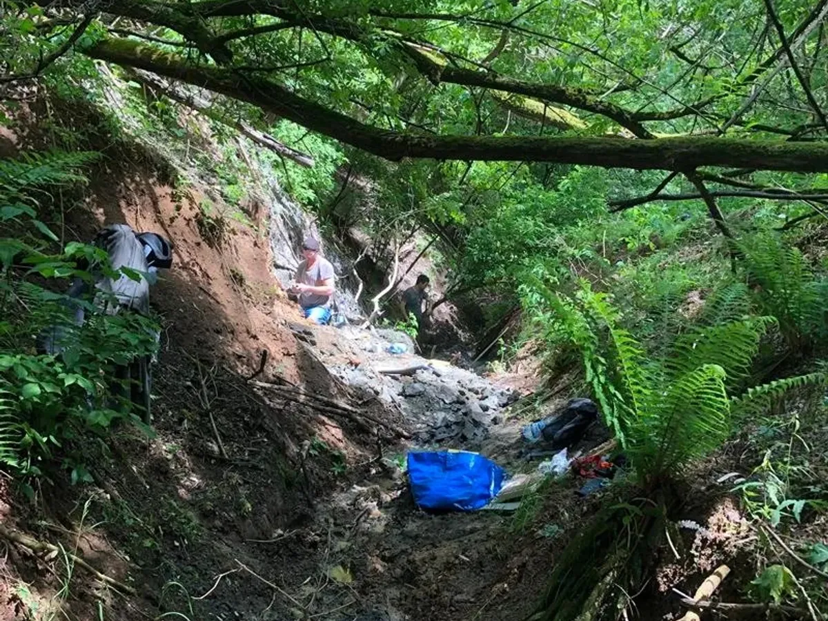 Descoperire în Transilvania - Foto: Elte