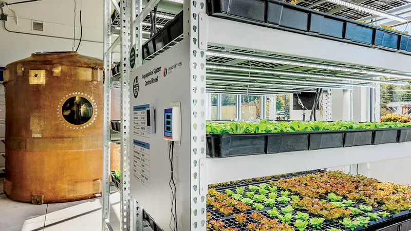 Ferma verticală Aquaponics