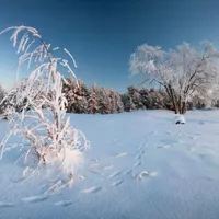 VREMEA după ce s-au oprit ninsorile. Gerul va lovi trei zile consecutive cu temperaturi extreme - Foto: Observator / imagine cu caracter ilustrativ