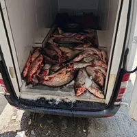 ANPC a găsit nereguli la Hala Obor-Foto: NEWS.RO