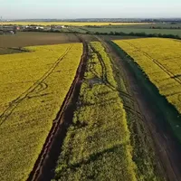După 3 ani și ceva de la lansarea licitației, Lotul 1 al Autostrăzii A0 Nord mai așteaptă. / Foto: Asociația Pro Infrastructură