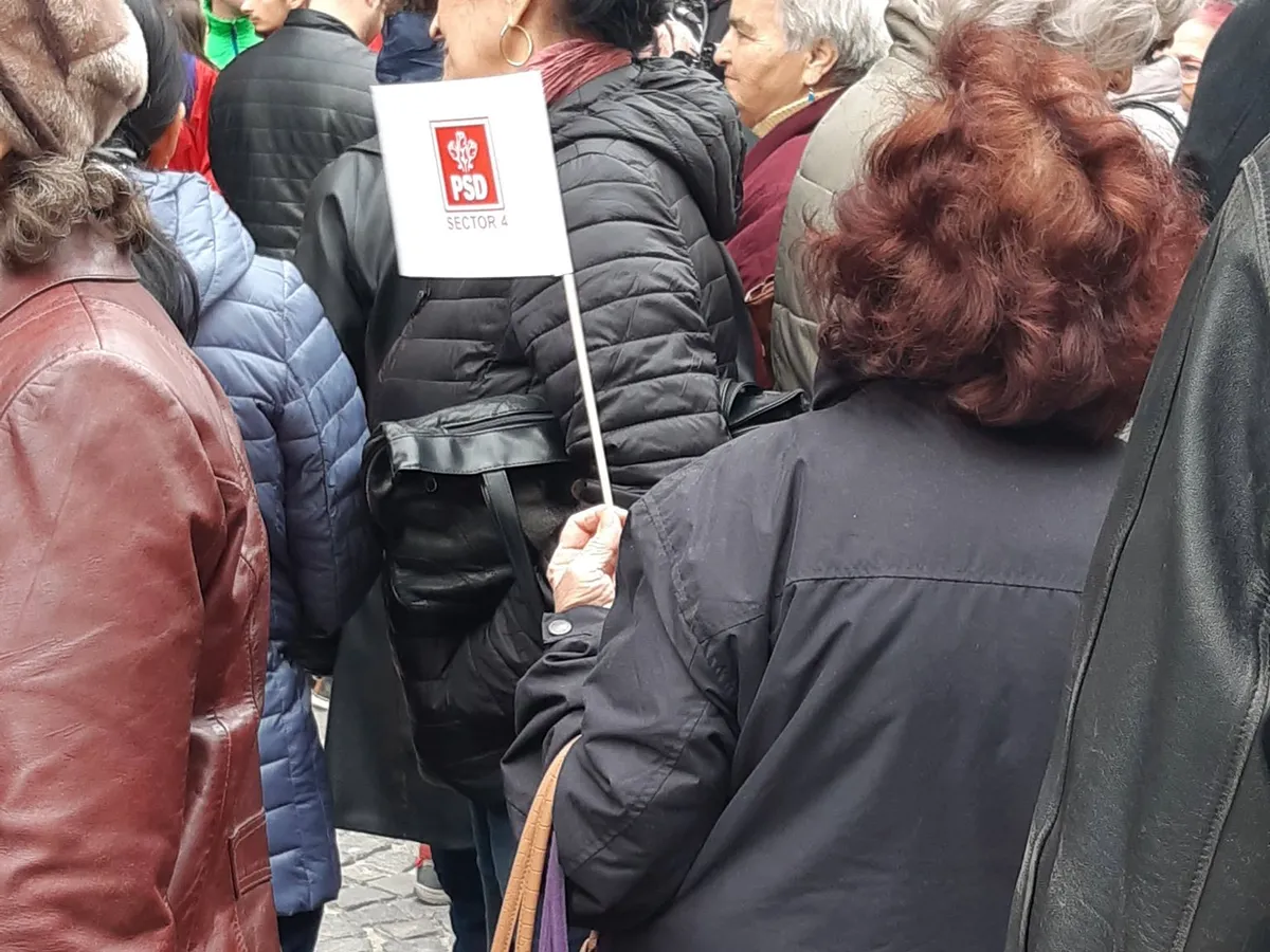 Susținători pesediști cu steguleț. FOTO: Newsweek România