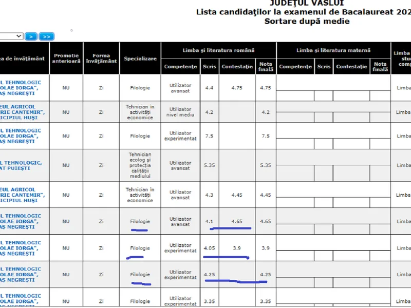 BACALAUREAT Absolvenți de filologie cu note de 2 și 3 la examenul de limba română FoO. Freepik (Imagine cu caracter ilustrativ)