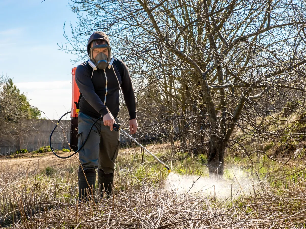Ce temperatură trebuie să fie afară ca să poți stropi pomii în februarie? Atenție la ploaie și la vânt