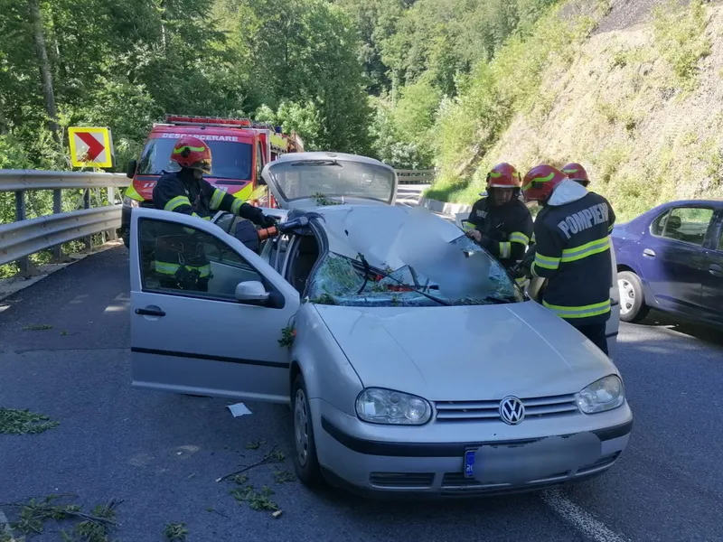 O creangă a căzut peste o mașină în mers și s-a înfipt în bazinul femeii care conducea Foto: ISU Crișana