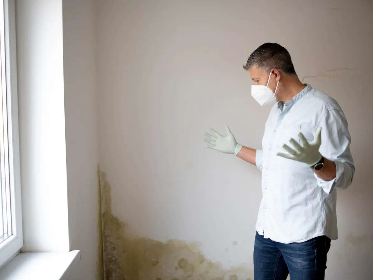 Cum să scapi de mucegai și igrasie cu vodcă. Nu afectează structura peretelui și nu dizolvă vopseaua - Foto: Freepik (Imagine cu rol ilustrativ)