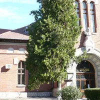 Colegiul Național „Costache Negri”/FOTO: Maria Măndiță
