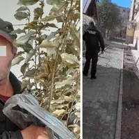 Doi bărbați și o femeie au furat cu sacul florile și arbuștii plantați de Primăria Vâlcea - Foto: gazetavalceana.ro