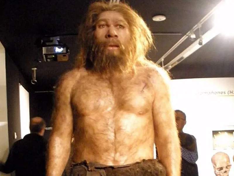 Homo Neanderthalensis, de la Museo de la Evolución Humana, din Burgos, Spania - Foto: Profimedia Images