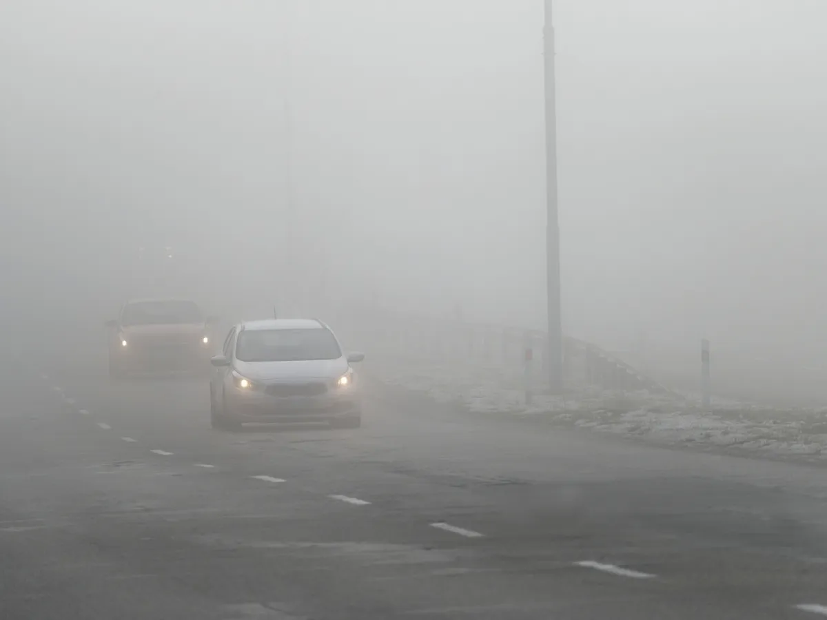 Meteorologii au emis atenţionări nowcasting Cod galben de ceaţă  - Foto: magnific.com (Imagine cu rol ilustrativ)