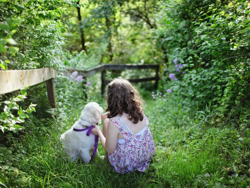 O fetiță dată dispărută e găsită, la 5 km, dormind lângă un câine într-o pădure - Foto: Pexels / Leah Kelly (Imagini cu rol explicativ)