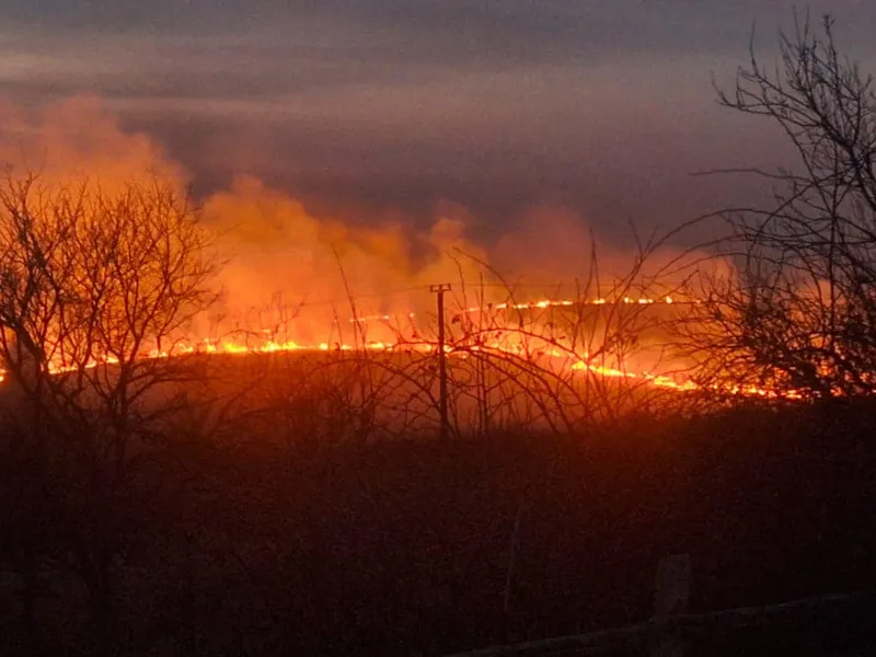 Incendii masive de vegetație în România. Arafat cere ajutorul preoților - Foto: IGSU