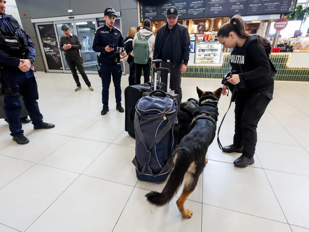Cum te poți angaja la Poliția de Frontieră. Ce salariu poți să obții