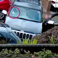 Cățelul în timp ce se afla la volan. Foto: Captură video YouTube