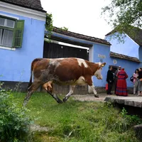 Regionalizare: 2.000 localități ar dispărea, mii de bugetari concediați - Foto: INQUAM PHOTOS / Alex Nicodim