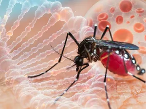 Foto: Virusul este transmis printr-o țepătur Sursa: Shutterstock