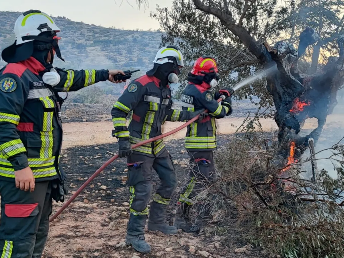 Incendiu în Grecia. Pompierii români, trimiși la intervenție - Foto: IGSU